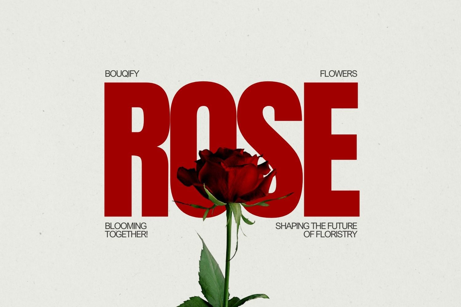 Güller: Çiçek Tasarımında Aşk ve Zarafetin Zamansız Sembolü