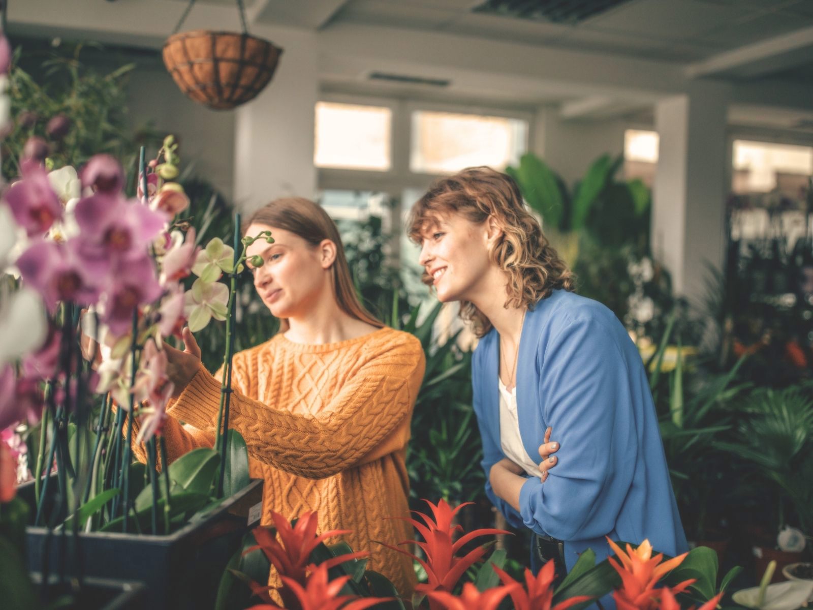 Bouqify Florist Platform