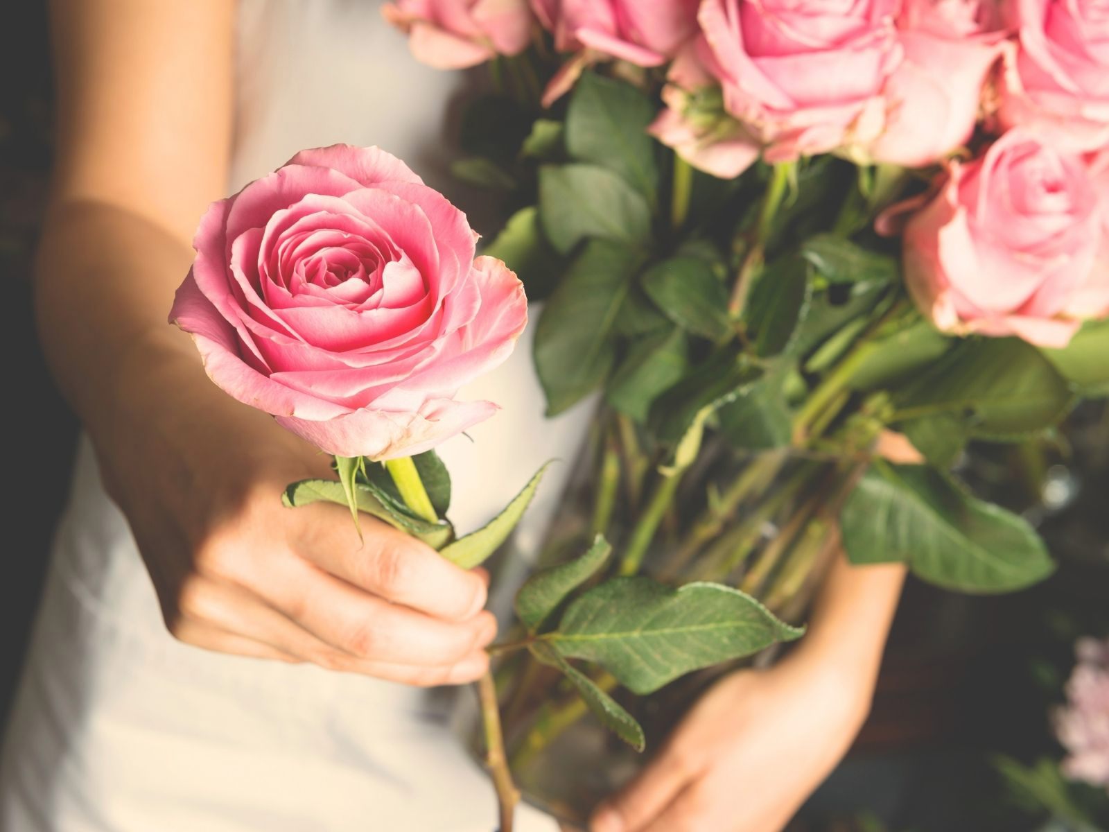 Bouqify Florist Platform