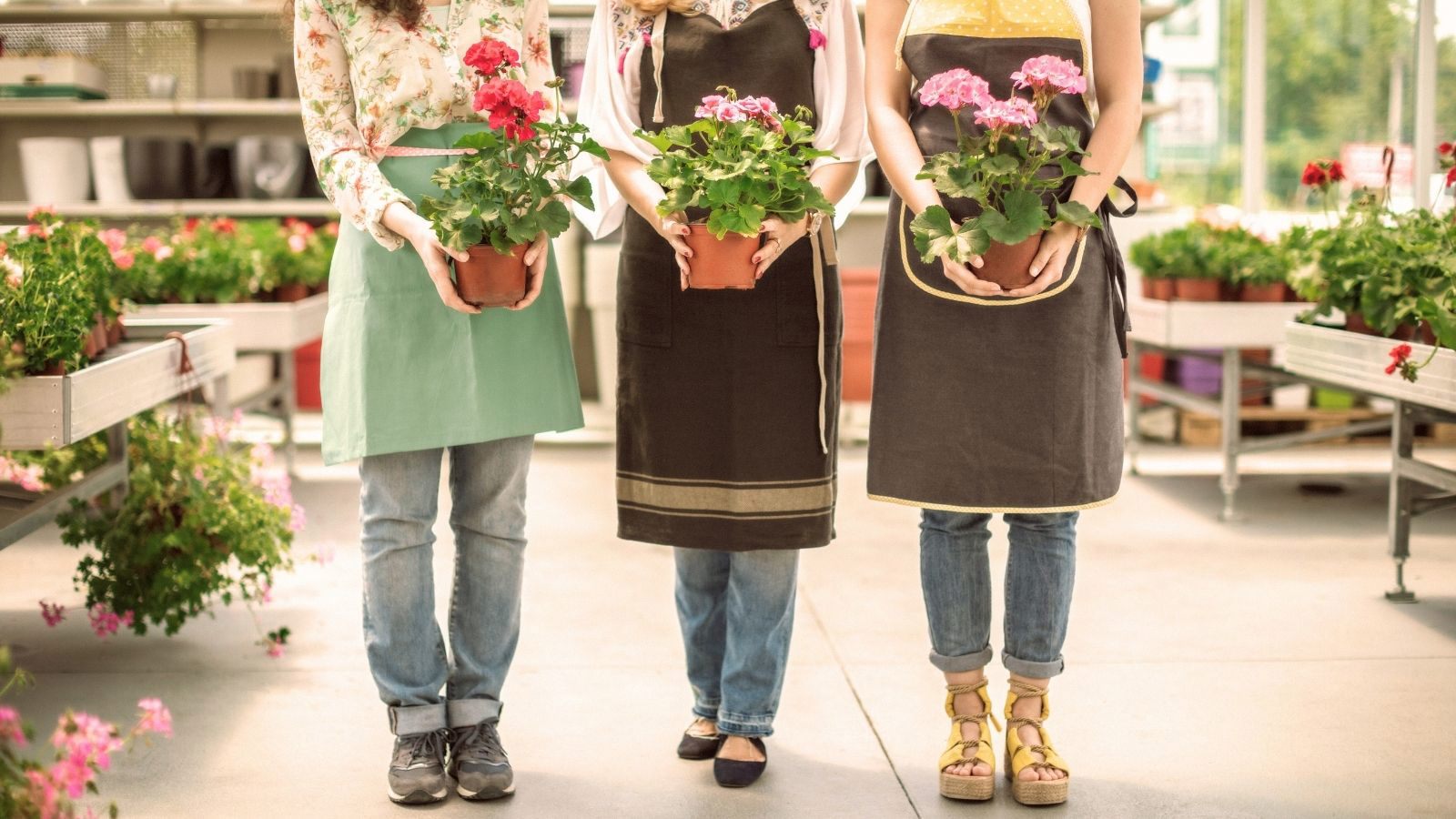 Bouqify Florist Platform