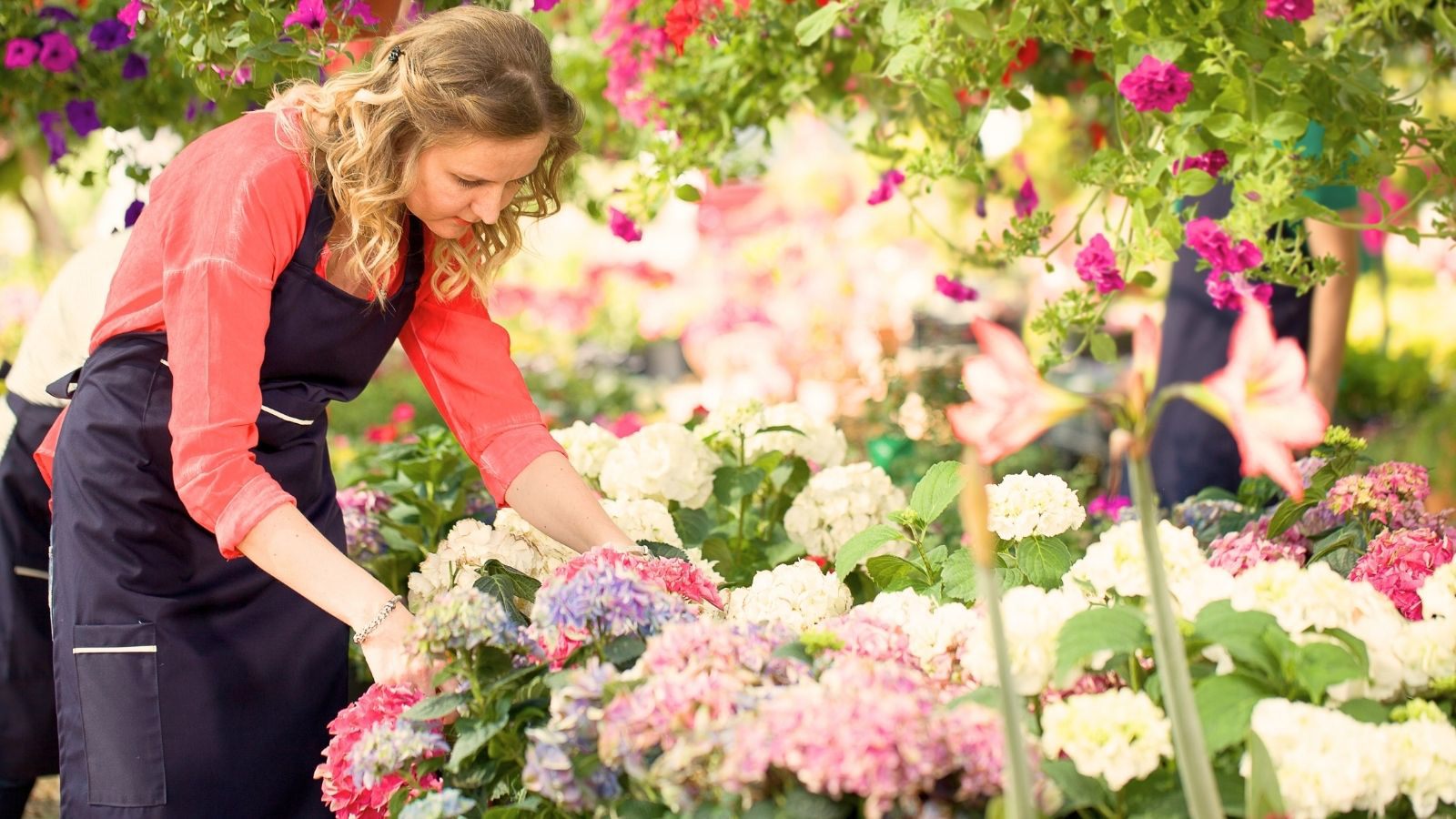 Bouqify Florist Platform