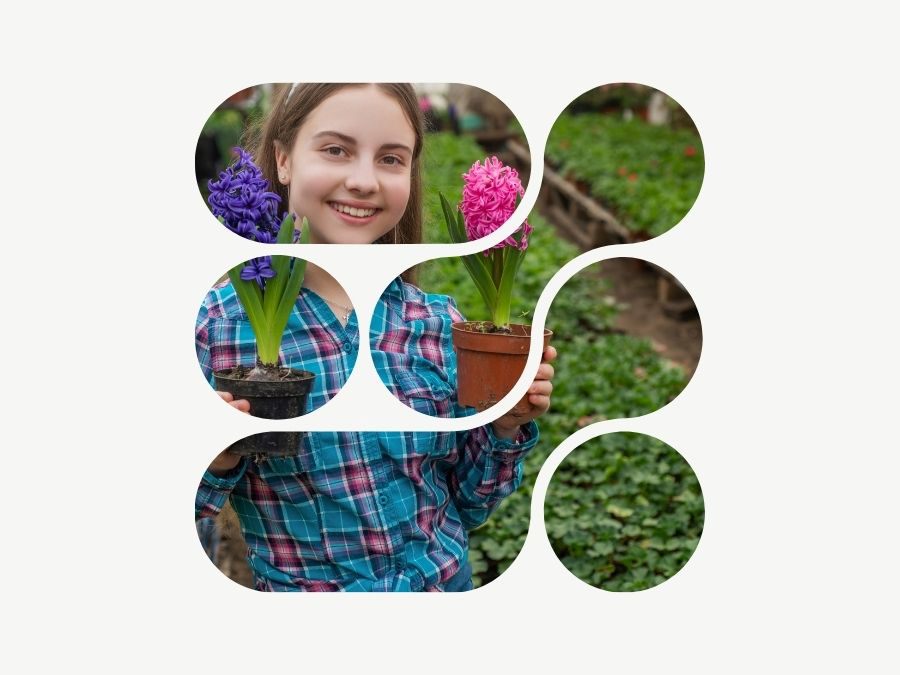 Bouqify Florist Platform