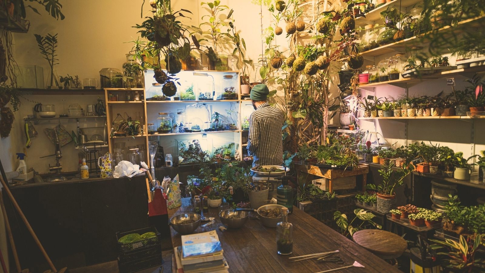 Bouqify Florist Platform