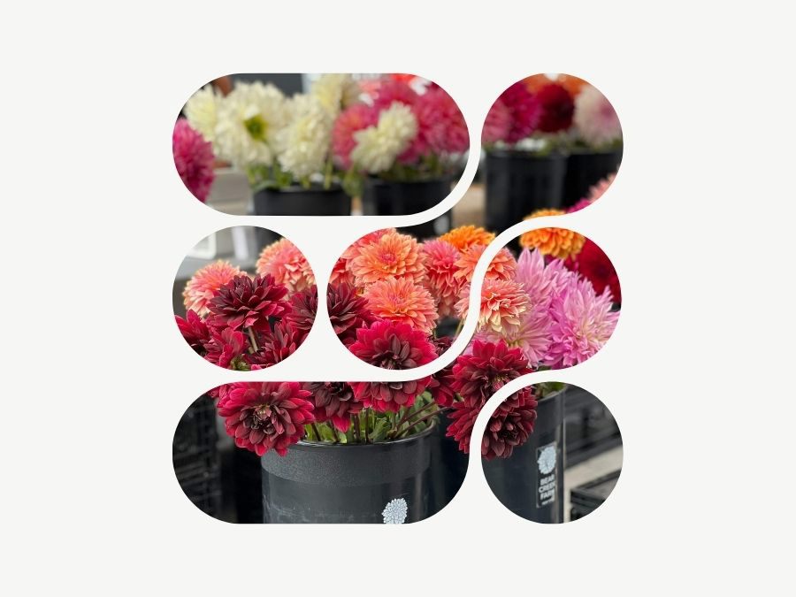 Bouqify Florist Platform