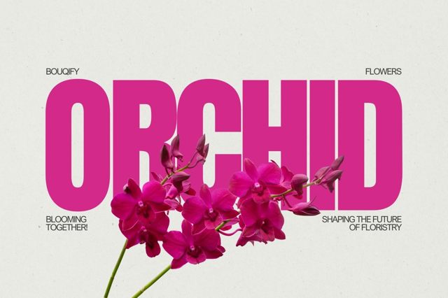 Orchids: Exotic Elegance and Botanical Sophistication