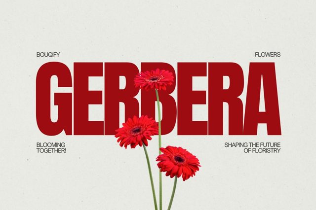 Gerberas: Vibrant Expressions of Joy and Contemporary Floral Design