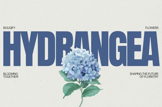 Hydrangeas: Luxurious Symbols of Emotional Depth and Botanical Elegance