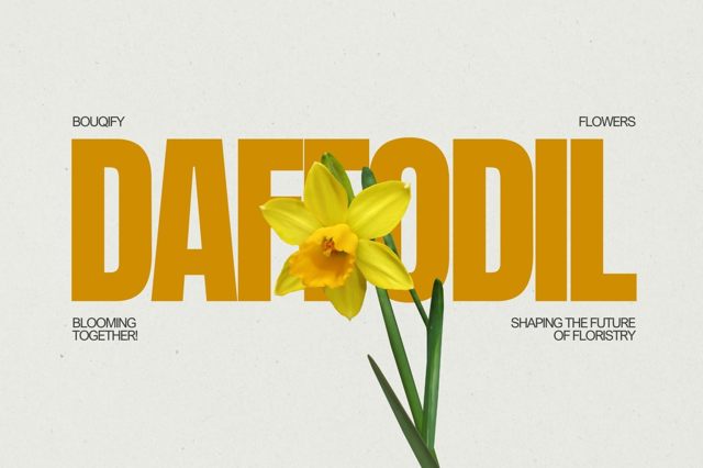 Daffodils: Heralds of Spring and Symbols of Renewal