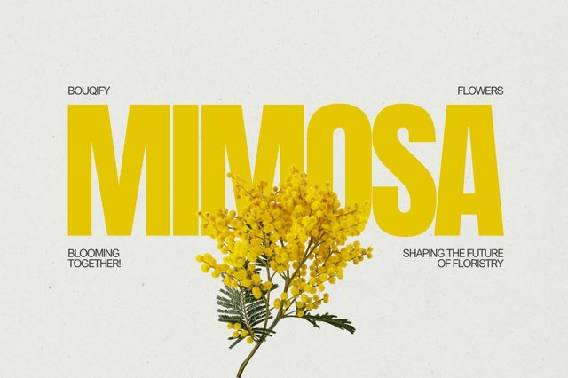 Mimosa: Delicate Emblems of Sensitivity, Elegance, and Botanical Complexity